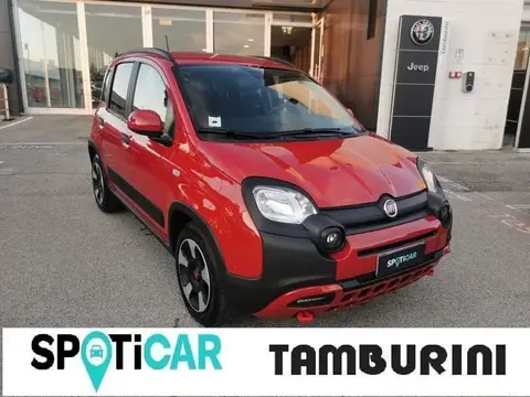 Annonce FIAT PANDA Hybride 2024 d'occasion 