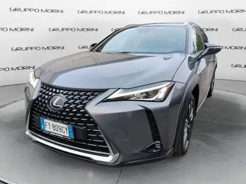 Used LEXUS UX Hybrid 2019 Ad 