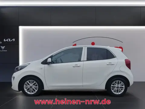 Annonce KIA PICANTO Essence 2020 d'occasion 