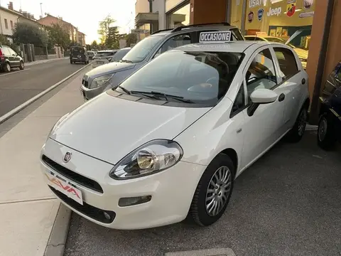 Annonce FIAT PUNTO Diesel 2017 d'occasion 