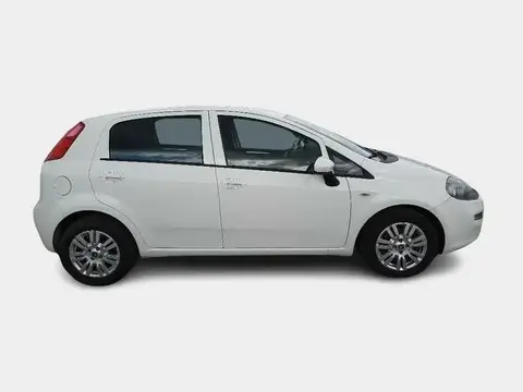 Used FIAT PUNTO Diesel 2017 Ad 