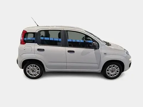 Annonce FIAT PANDA Essence 2019 d'occasion 