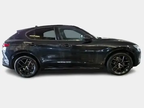 Used ALFA ROMEO STELVIO Diesel 2021 Ad 