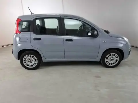 Annonce FIAT PANDA Essence 2020 d'occasion 