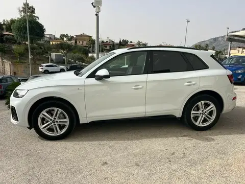 Used AUDI Q5 Petrol 2023 Ad 