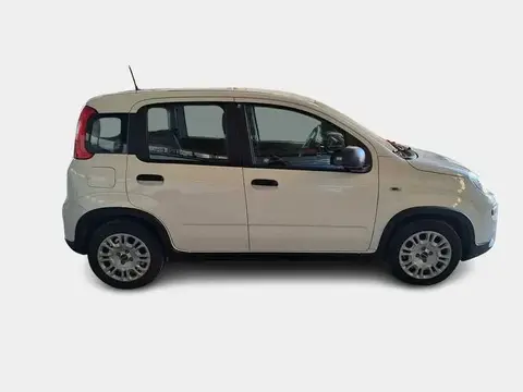 Used FIAT PANDA Hybrid 2023 Ad 