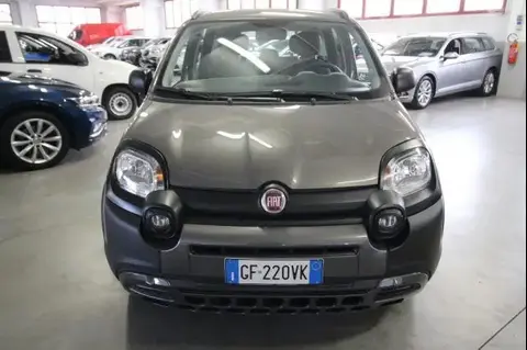 Used FIAT PANDA Hybrid 2021 Ad 