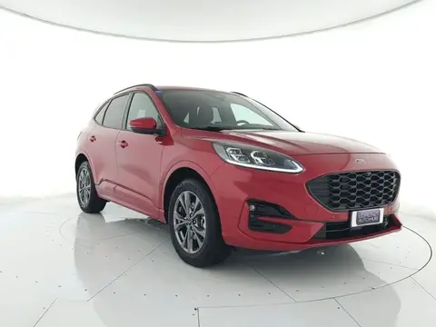 Used FORD KUGA Hybrid 2021 Ad 