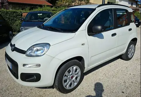 Annonce FIAT PANDA  2017 d'occasion 