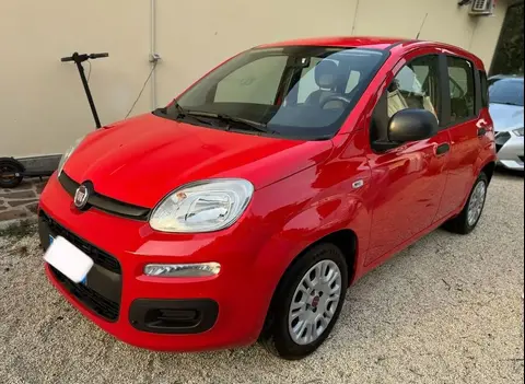 Annonce FIAT PANDA Hybride 2023 d'occasion 