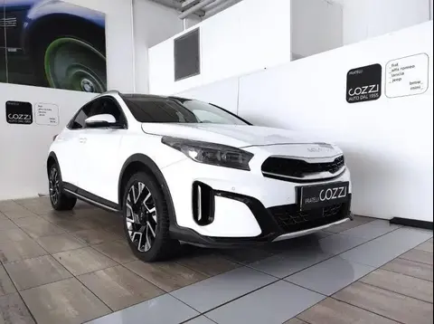 Used KIA XCEED Hybrid 2023 Ad 