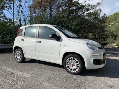 Annonce FIAT PANDA Essence 2017 d'occasion 