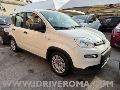 Annonce FIAT PANDA Essence 2022 d'occasion 