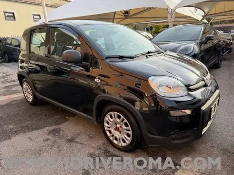 Annonce FIAT PANDA Essence 2022 d'occasion 