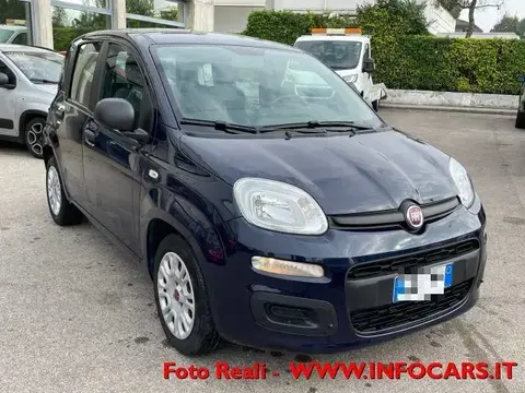 Used FIAT PANDA Hybrid 2021 Ad 