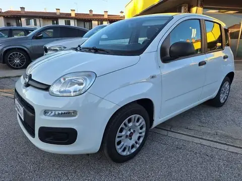 Used FIAT PANDA Petrol 2019 Ad 