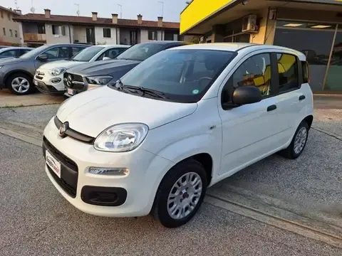 Used FIAT PANDA Petrol 2019 Ad 