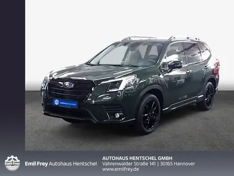 Used SUBARU FORESTER Hybrid 2024 Ad 