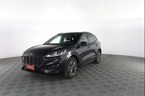 Used FORD KUGA Hybrid 2022 Ad 