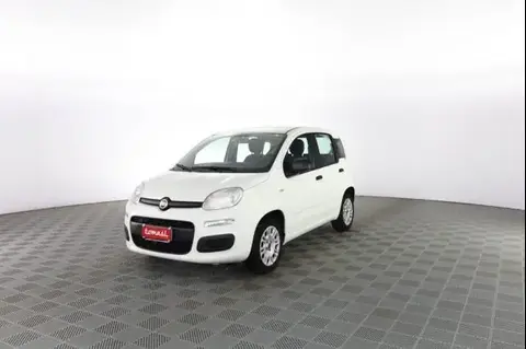 Used FIAT PANDA Petrol 2020 Ad 