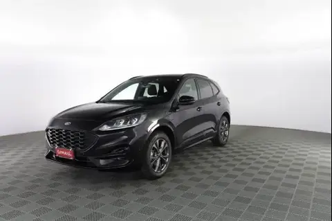 Used FORD KUGA Hybrid 2022 Ad 