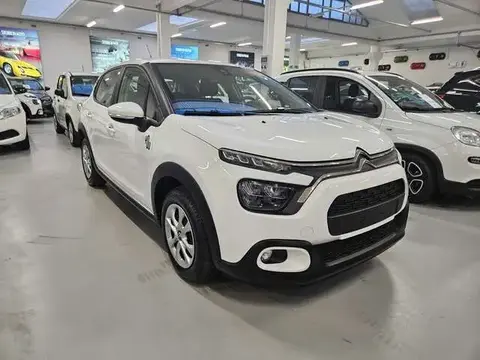 Annonce CITROEN C3 Essence 2024 d'occasion 