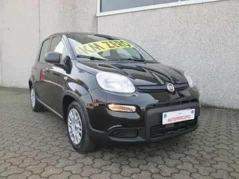 Used FIAT PANDA Hybrid 2024 Ad 