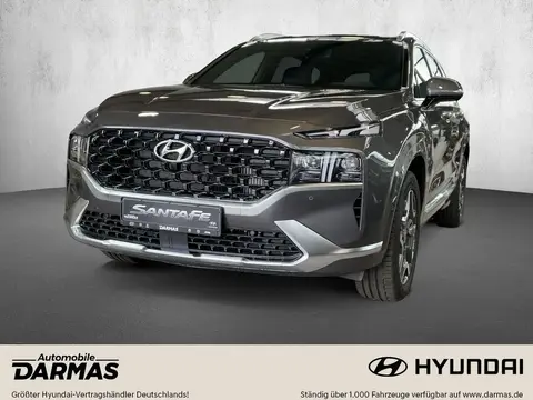 Annonce HYUNDAI SANTA FE Hybride 2021 d'occasion 