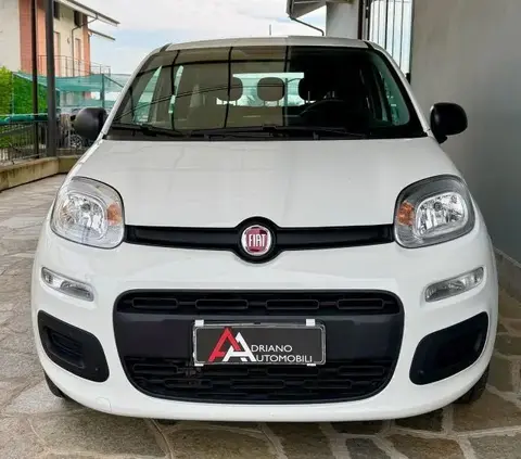 Used FIAT PANDA Petrol 2021 Ad 