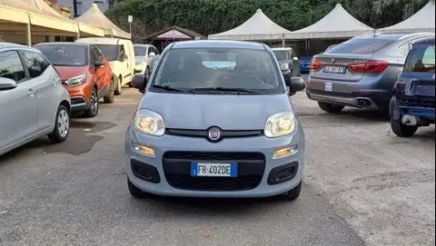 Used FIAT PANDA Petrol 2018 Ad 