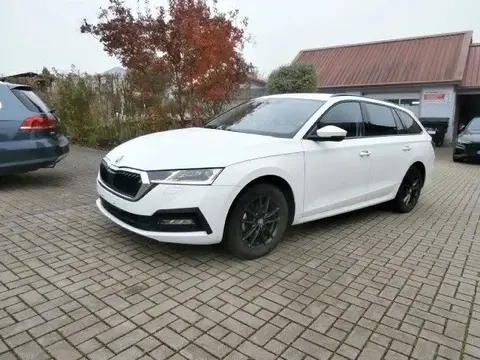 Used SKODA OCTAVIA Petrol 2021 Ad 