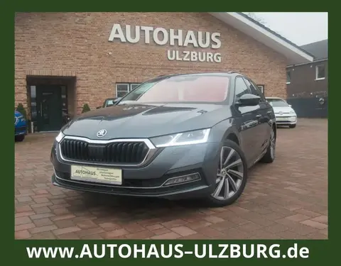 Used SKODA OCTAVIA Diesel 2021 Ad 