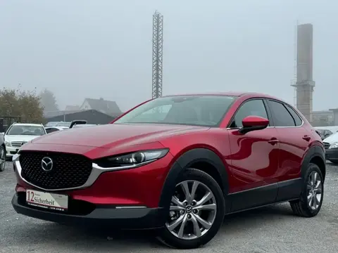 Used MAZDA CX-30 Hybrid 2020 Ad 