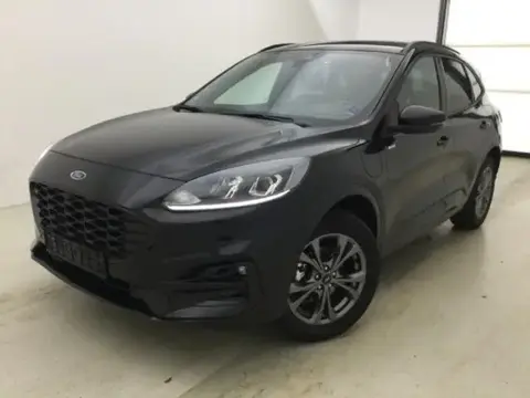 Used FORD KUGA Hybrid 2023 Ad 