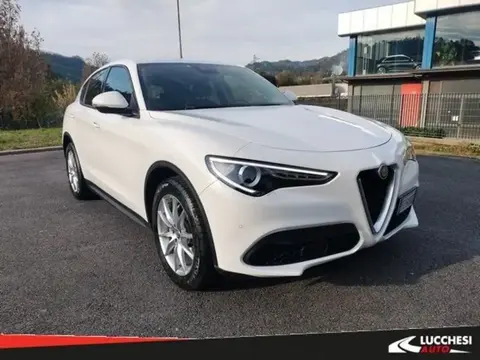 Used ALFA ROMEO STELVIO Diesel 2019 Ad 