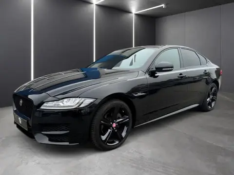 Used JAGUAR XF Petrol 2019 Ad 