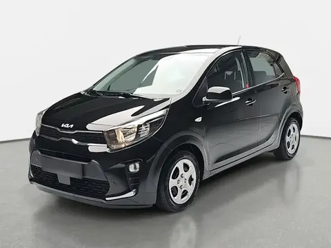 Used KIA PICANTO Petrol 2023 Ad 