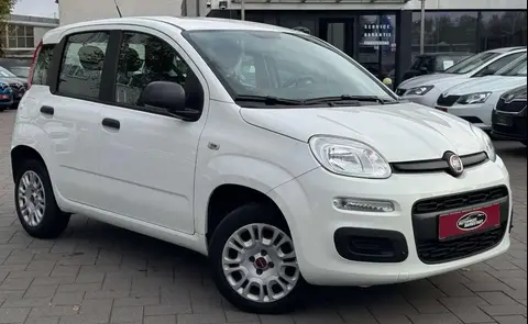 Annonce FIAT PANDA Essence 2019 d'occasion 