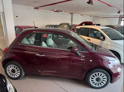 Used FIAT 500 LPG 2019 Ad 