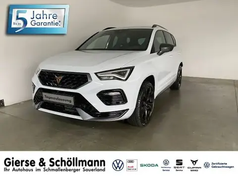 Used CUPRA ATECA Petrol 2024 Ad 