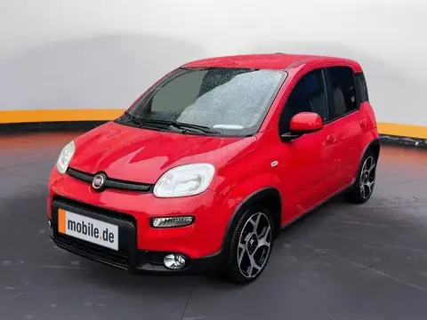 Annonce FIAT PANDA Hybride 2021 d'occasion 