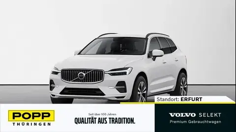 Annonce VOLVO XC60 Diesel 2021 d'occasion 