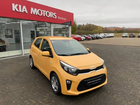 Used KIA PICANTO Petrol 2023 Ad 