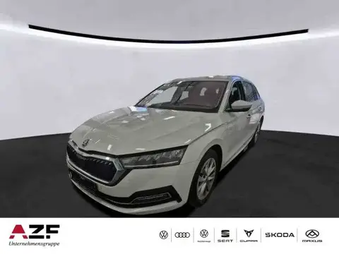 Annonce SKODA OCTAVIA Diesel 2022 d'occasion 