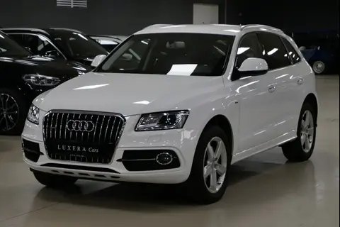 Used AUDI Q5 Diesel 2017 Ad 