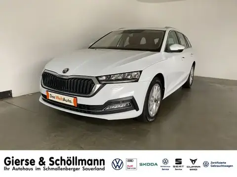 Used SKODA OCTAVIA Diesel 2022 Ad 