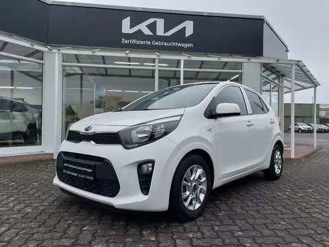 Annonce KIA PICANTO Essence 2020 d'occasion 