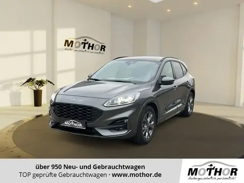 Used FORD KUGA Hybrid 2024 Ad 