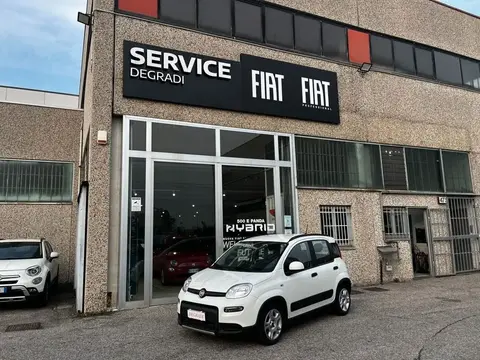 Annonce FIAT PANDA Hybride 2023 d'occasion 