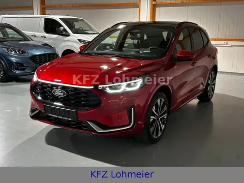 Annonce FORD KUGA Hybride 2024 d'occasion 